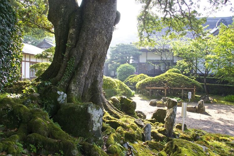 蚶満寺