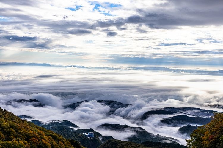 Tourist destination images of Tsubakurodani(4)