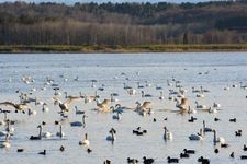 Tourist destination images of Lake Kutcharo(2)