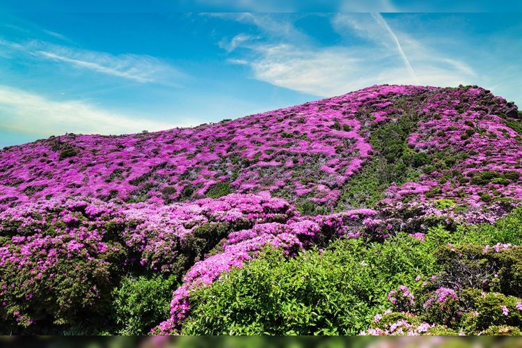 Tourist destination images of Hiraizudake(3)