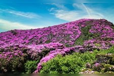Tourist destination images of Hiraizudake(3)