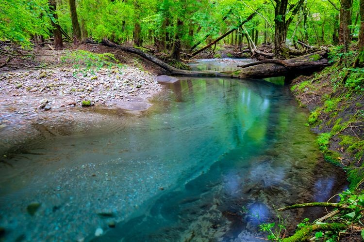 Tourist destination images of Otoike Spring Group(2)