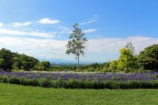 Tourist destination images of Tokachi Hills(3)