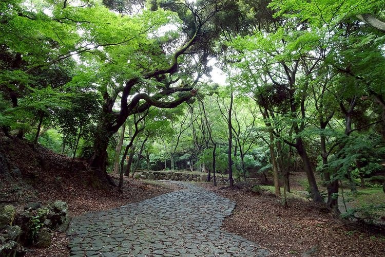 Tourist destination images of Iwaya Ryokuchi(1)