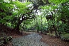 Tourist destination images of Iwaya Ryokuchi(1)