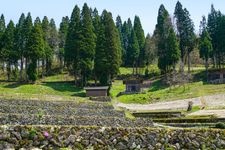 种藏集落的旅游景点图片(2)