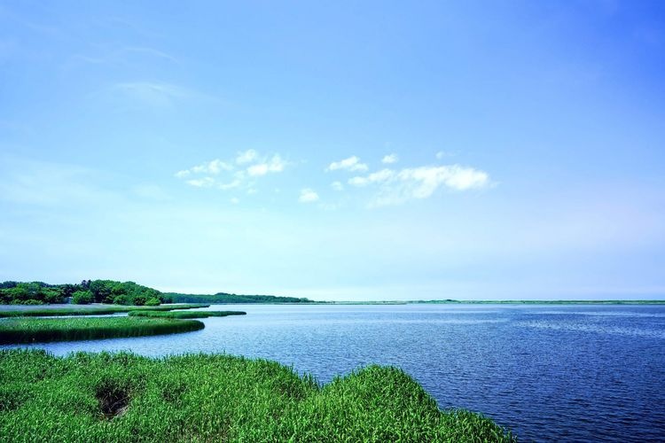 Koshima Shitsugen-en (Koshima Marshland Garden)