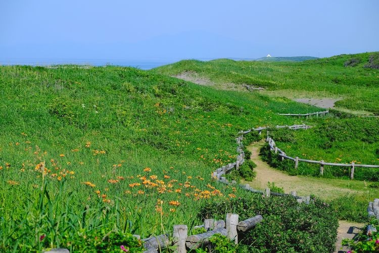 Tourist destination images of Koshima Shitsugen-en (Koshima Marshland Garden)(3)