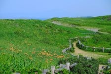 Tourist destination images of Koshima Shitsugen-en (Koshima Marshland Garden)(3)
