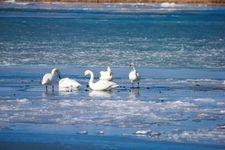 Tourist destination images of Lake Furen (Furenko)(2)