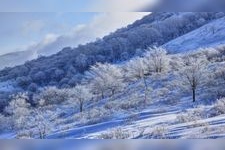Tourist destination images of Kurumayama Marsh (Kiryugahara)(3)