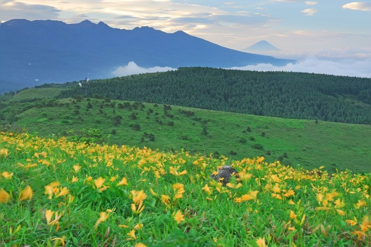 Tourist destination images of Kurumayama Marsh (Kiryugahara)(2)