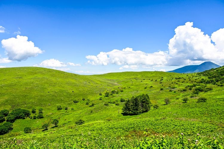 Kurumayama Marsh (Kiryugahara)