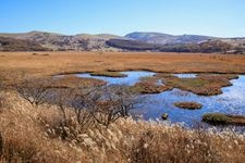 Tourist destination images of Yashimagahara Marshland(4)