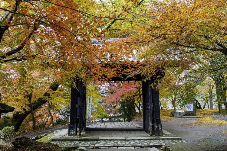 Suiju Shrine