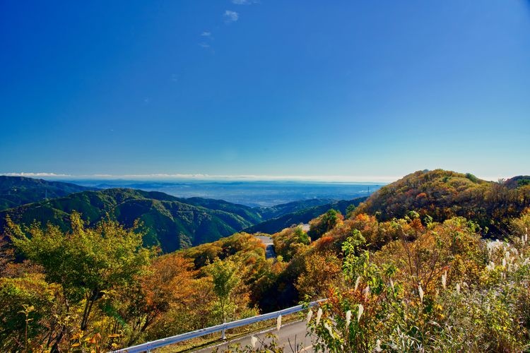 Tourist destination images of Ibukiyama Driveway(2)