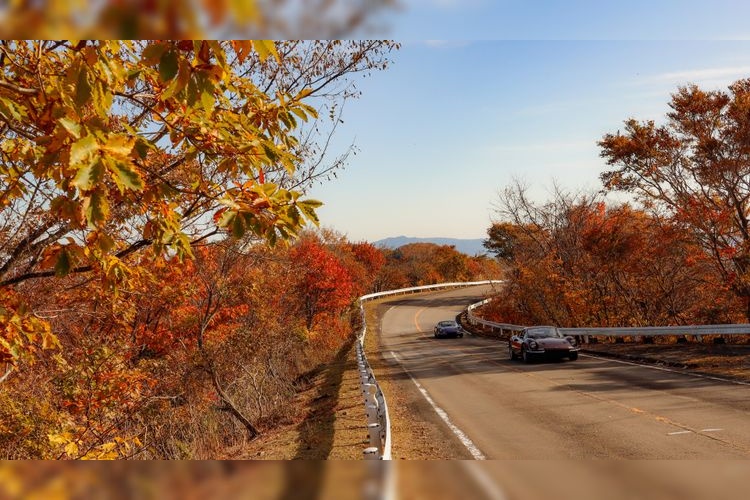 Tourist destination images of Ibukiyama Driveway(3)
