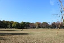 Tourist destination images of Suginami Ward Kashi no Miya Park(2)