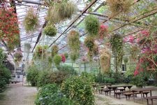 Tourist destination images of Kakegawa Kachoen (Kakegawa Bird and Flower Garden)(3)