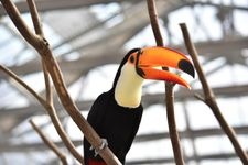 Tourist destination images of Kakegawa Kachoen (Kakegawa Bird and Flower Garden)(2)