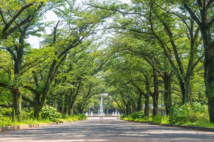 Fuchunomori Park