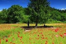 Tourist destination images of Iwate Prefectural Goshoko Wide Area Park(3)