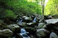 Tourist destination images of Torogawa Valley(1)