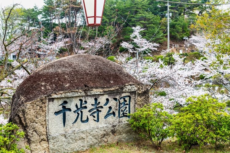 Tourist destination images of Senkoji Park(2)