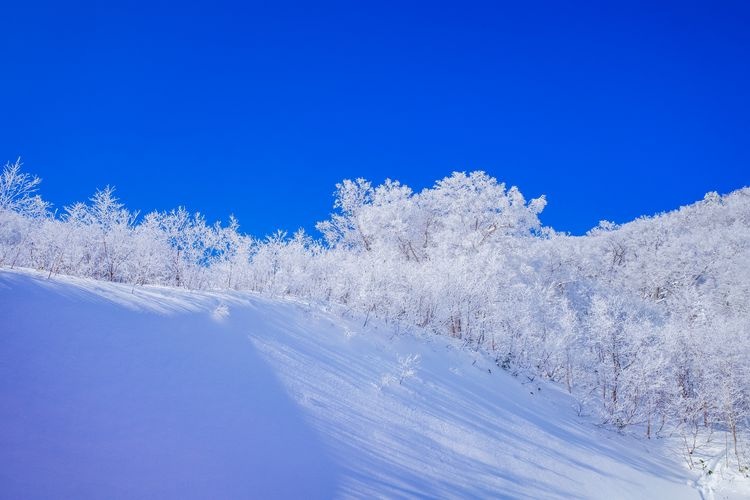 Appi Kogen Ski Resort