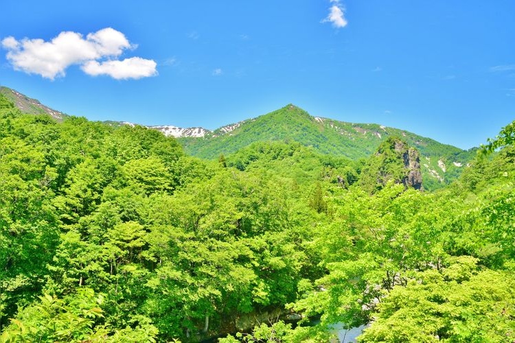 Aburama River Gorge 2