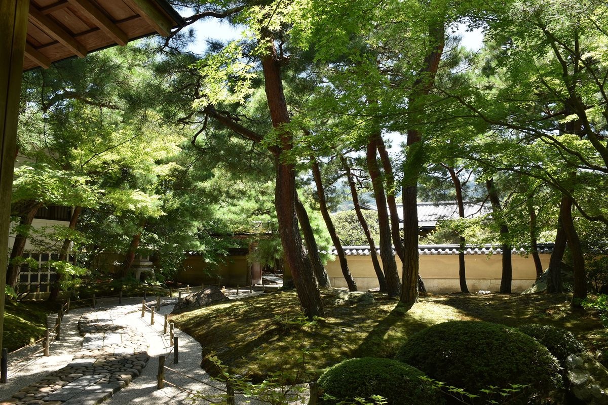Musée d'art d'Adachi