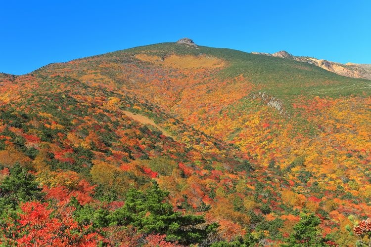 Adatara Yama Ropeway