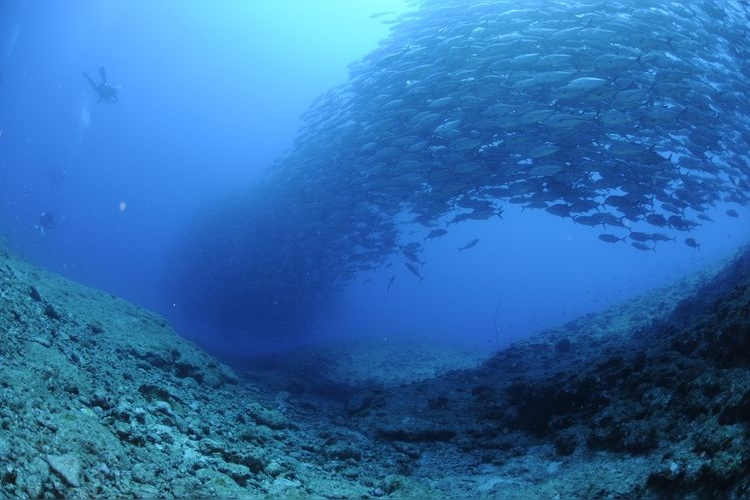 Aguni Island 2