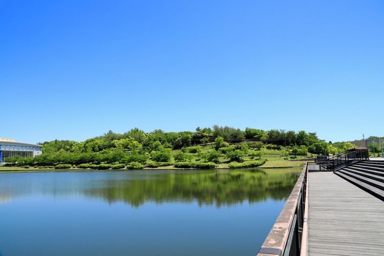 Tamanai Earth Expo Memorial Park (Moricollo Park) 3