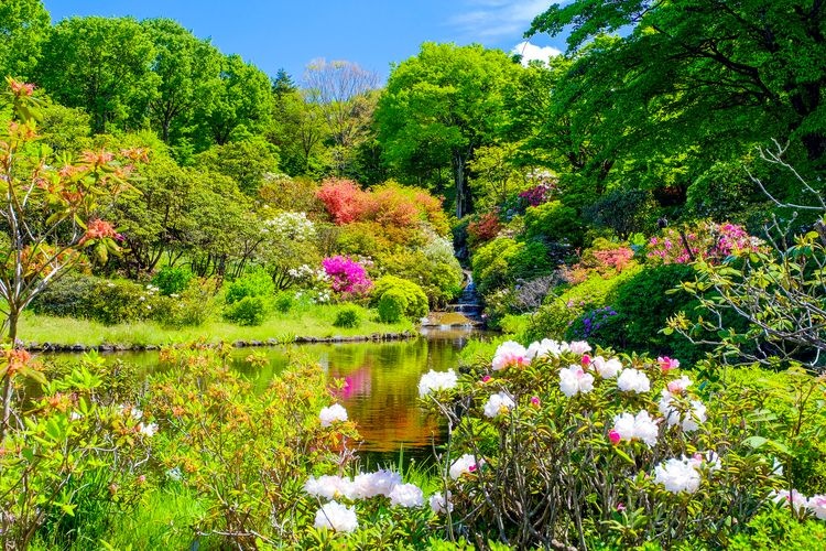 赤城自然園 (Akagi Nature Park) 3