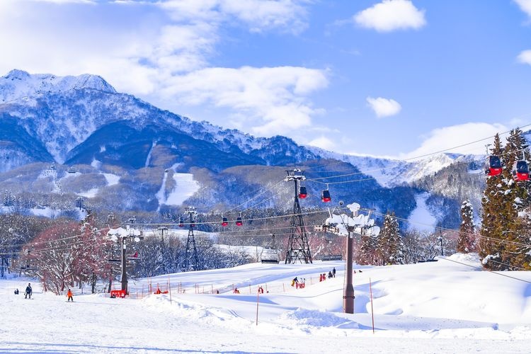 赤倉觀光度假村滑雪場 2