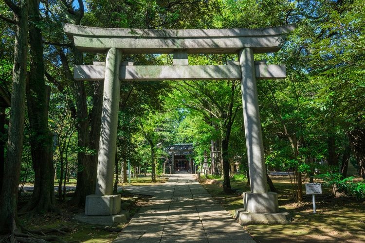 赤坂冰川神社 3