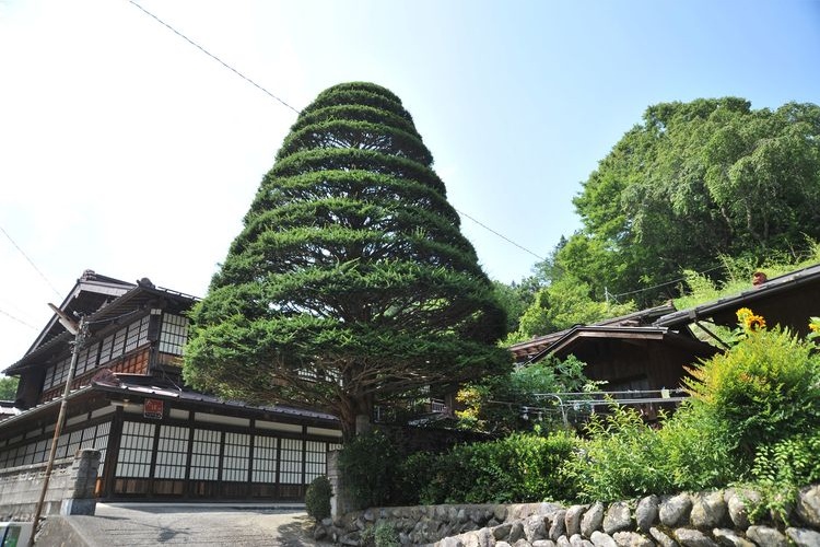 Akazawa Traditional Buildings Preservation District 2