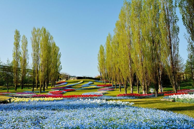 Parque Nacional Akashi Kaikyo (Distrito de Awaji) 3