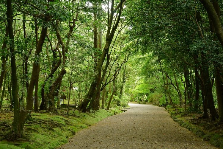 Chikushi-ji