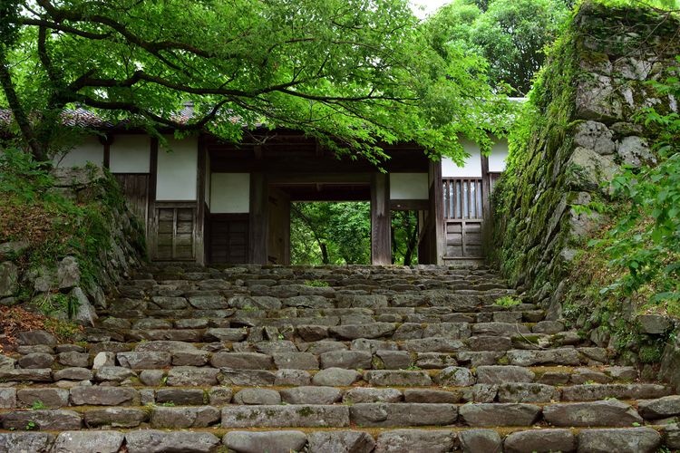 秋月传统建筑群保存地区 6