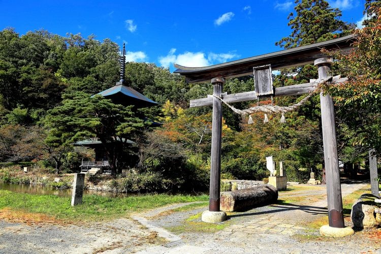 Akutsu Hachiman Shrine 2