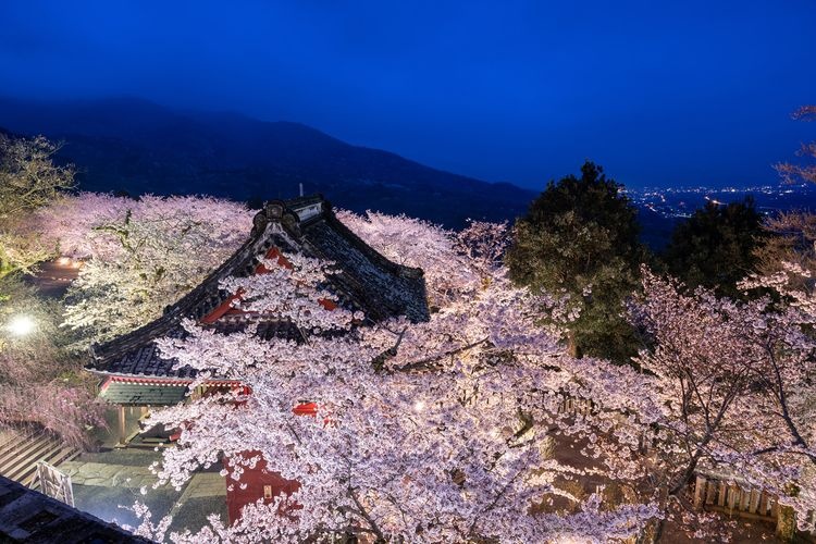 Amabiki Kannon (Rakuhoji Temple) 2