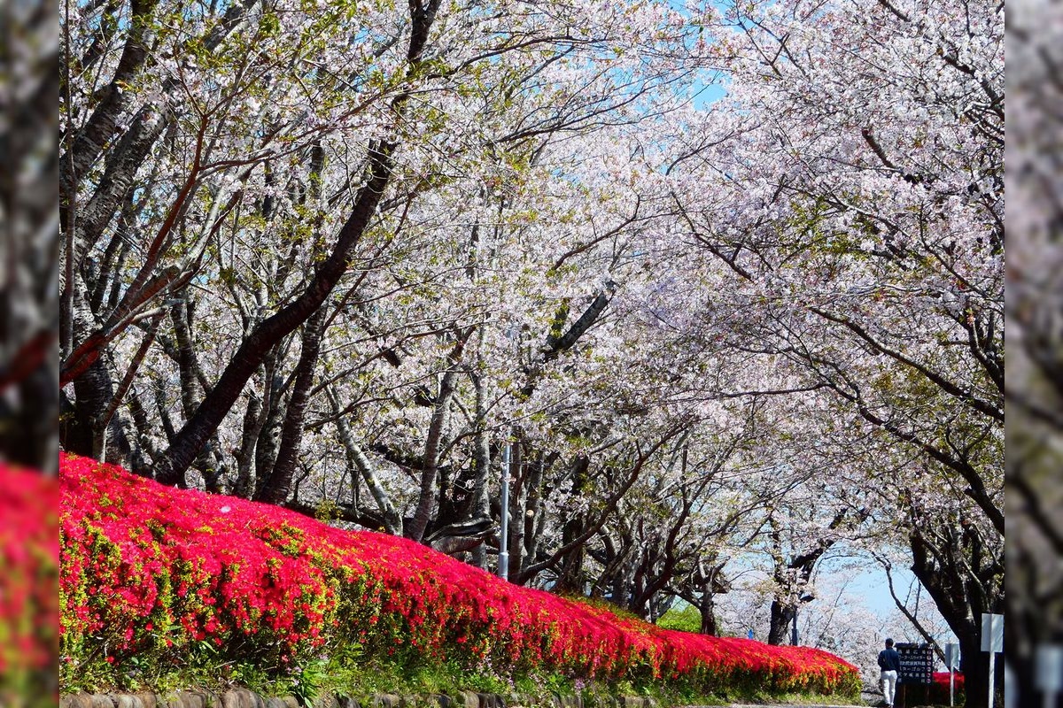 아마기조 공원 (Amagijo Park)