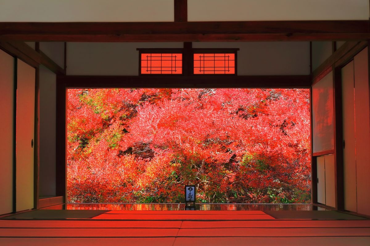 Tempio Ankokuji