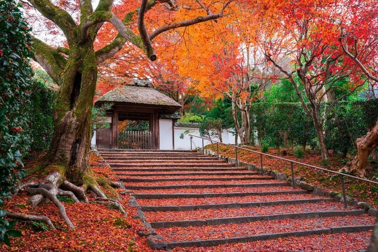 Anraku-ji
