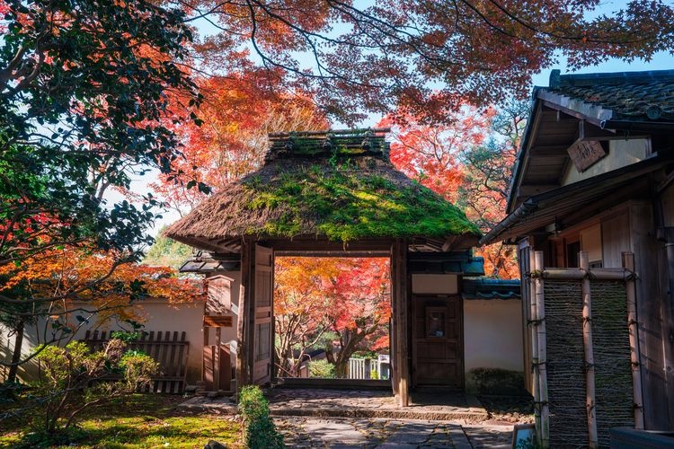 Anraku-ji 2