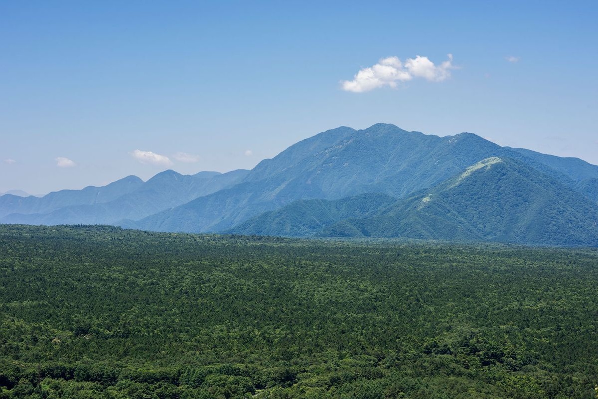 Aokigahara Jukai