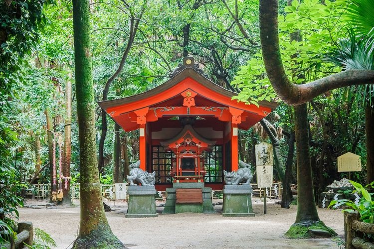 Aoshima Shrine (Oni no Sentaku Itta) 2