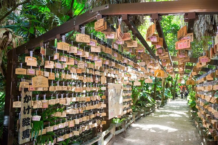 Aoshima Shrine (Oni no Sentaku Itta) 7